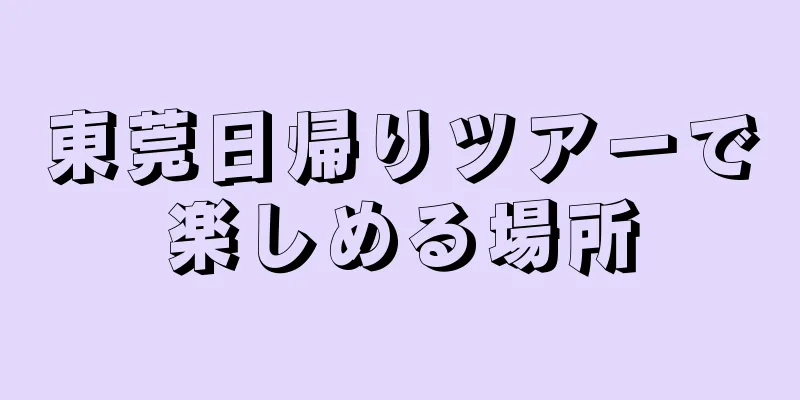 東莞日帰りツアーで楽しめる場所