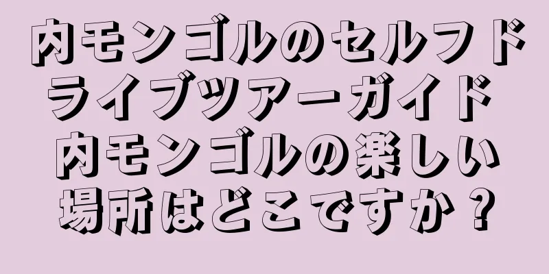 内モンゴルのセルフドライブツアーガイド 内モンゴルの楽しい場所はどこですか？