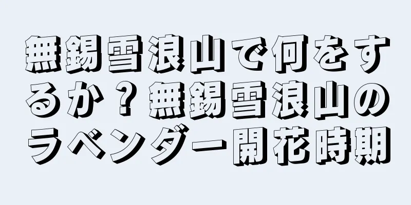無錫雪浪山で何をするか？無錫雪浪山のラベンダー開花時期