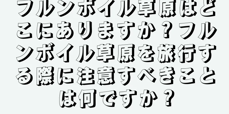 フルンボイル草原はどこにありますか？フルンボイル草原を旅行する際に注意すべきことは何ですか？