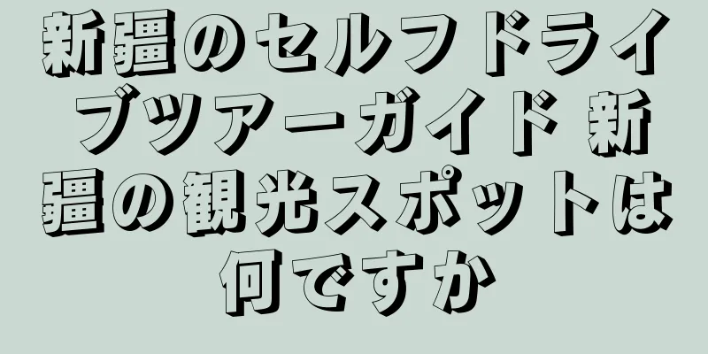 新疆のセルフドライブツアーガイド 新疆の観光スポットは何ですか