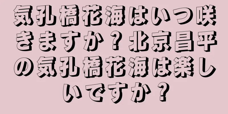 気孔橋花海はいつ咲きますか？北京昌平の気孔橋花海は楽しいですか？