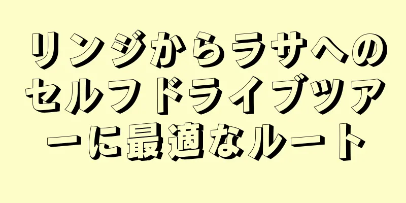 リンジからラサへのセルフドライブツアーに最適なルート