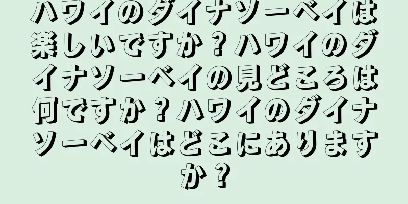 ハワイのダイナソーベイは楽しいですか？ハワイのダイナソーベイの見どころは何ですか？ハワイのダイナソーベイはどこにありますか？
