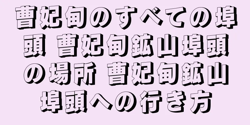 曹妃甸のすべての埠頭 曹妃甸鉱山埠頭の場所 曹妃甸鉱山埠頭への行き方