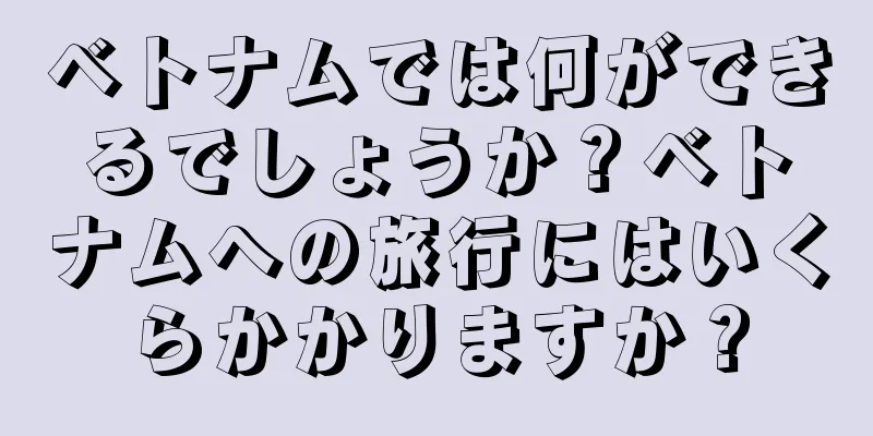 ベトナムでは何ができるでしょうか？ベトナムへの旅行にはいくらかかりますか？