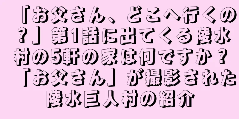「お父さん、どこへ行くの？」第1話に出てくる陵水村の5軒の家は何ですか？「お父さん」が撮影された陵水巨人村の紹介