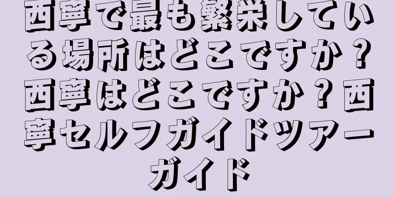 西寧で最も繁栄している場所はどこですか？西寧はどこですか？西寧セルフガイドツアーガイド