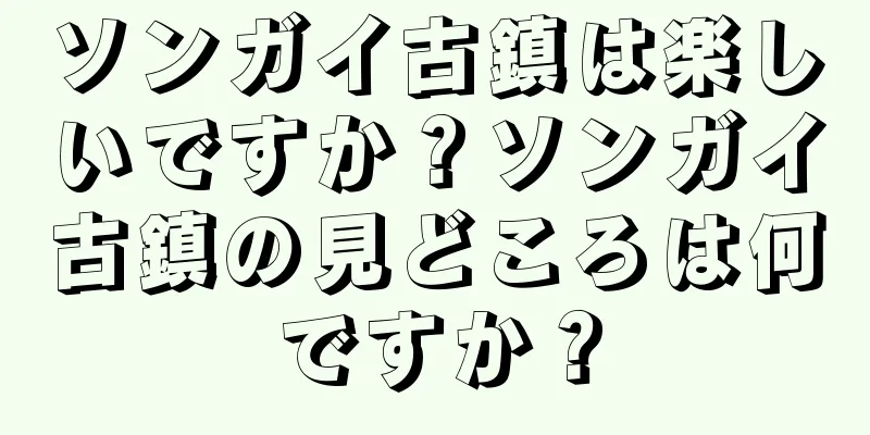 ソンガイ古鎮は楽しいですか？ソンガイ古鎮の見どころは何ですか？
