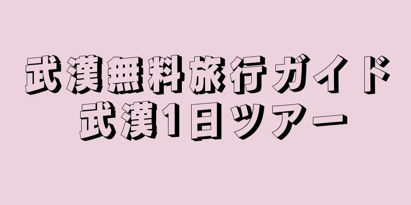 武漢無料旅行ガイド 武漢1日ツアー