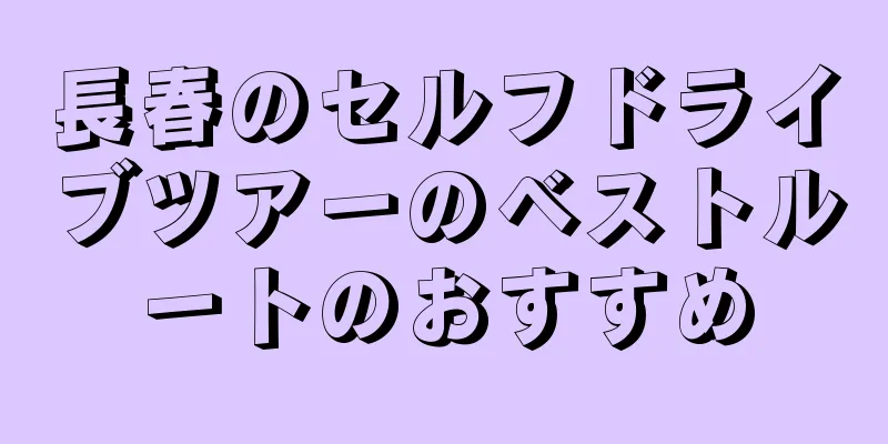 長春のセルフドライブツアーのベストルートのおすすめ