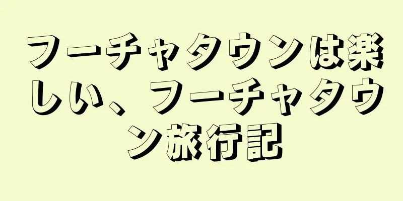 フーチャタウンは楽しい、フーチャタウン旅行記