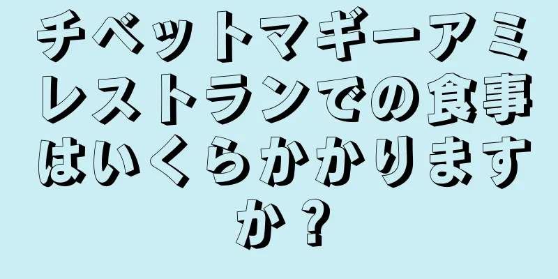 チベットマギーアミレストランでの食事はいくらかかりますか？