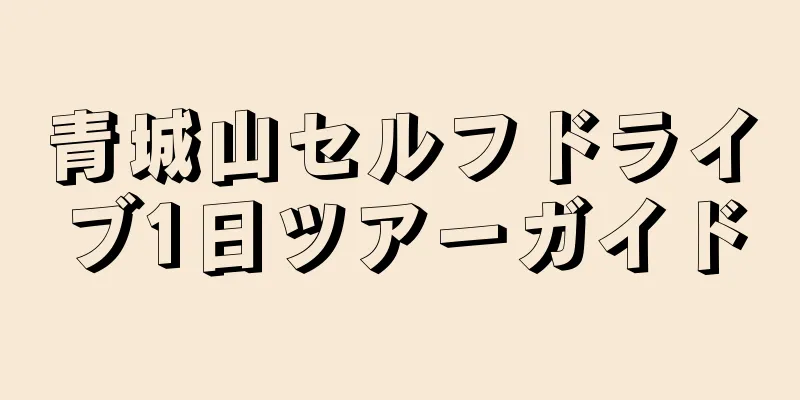 青城山セルフドライブ1日ツアーガイド