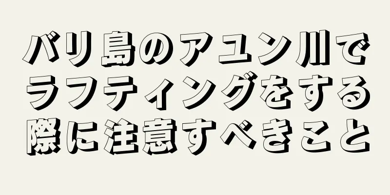バリ島のアユン川でラフティングをする際に注意すべきこと