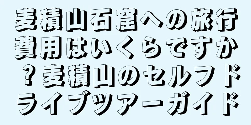 麦積山石窟への旅行費用はいくらですか？麦積山のセルフドライブツアーガイド