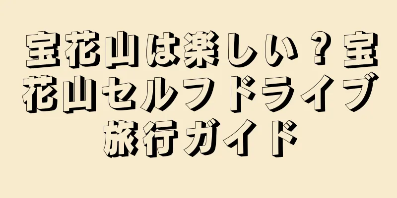 宝花山は楽しい？宝花山セルフドライブ旅行ガイド