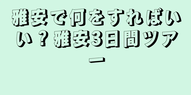 雅安で何をすればいい？雅安3日間ツアー