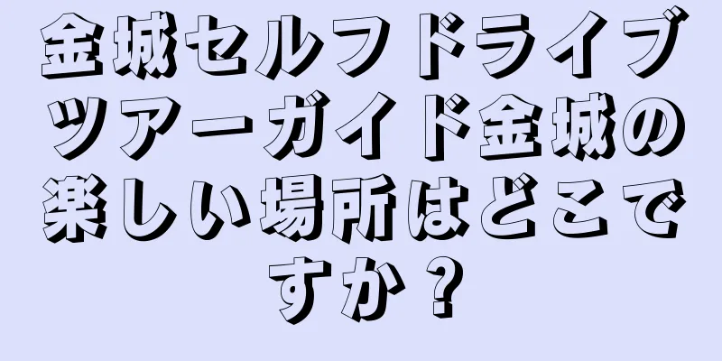 金城セルフドライブツアーガイド金城の楽しい場所はどこですか？