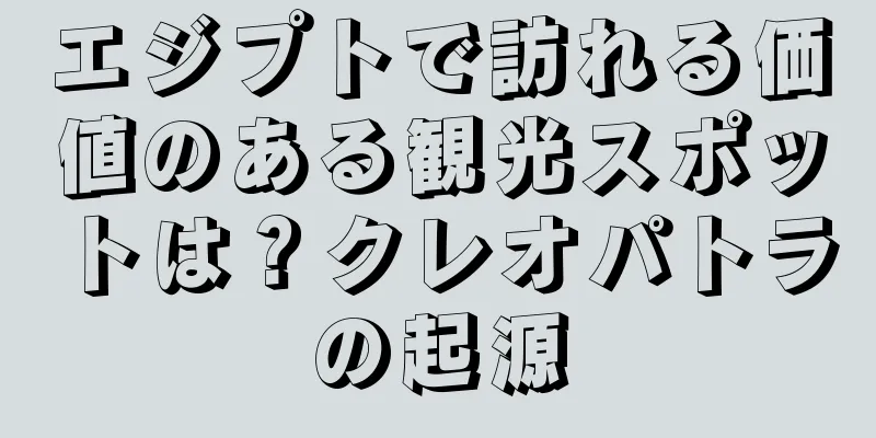 エジプトで訪れる価値のある観光スポットは？クレオパトラの起源