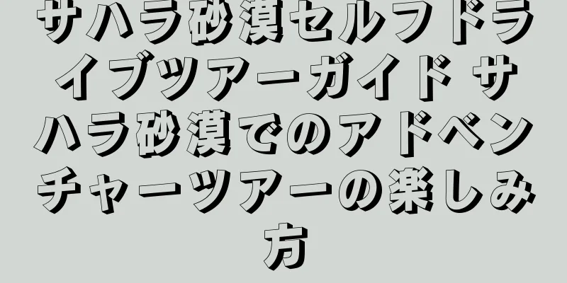 サハラ砂漠セルフドライブツアーガイド サハラ砂漠でのアドベンチャーツアーの楽しみ方