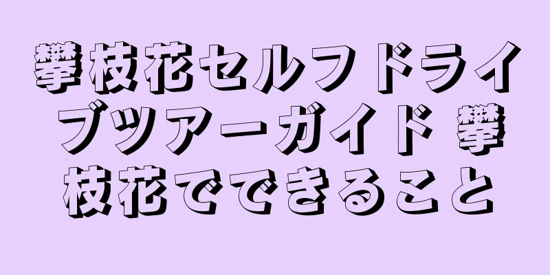 攀枝花セルフドライブツアーガイド 攀枝花でできること