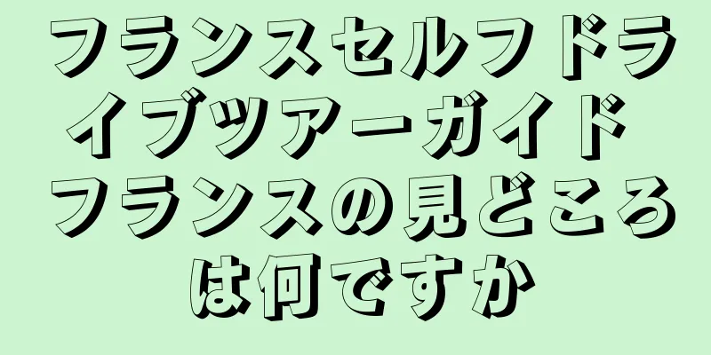 フランスセルフドライブツアーガイド フランスの見どころは何ですか