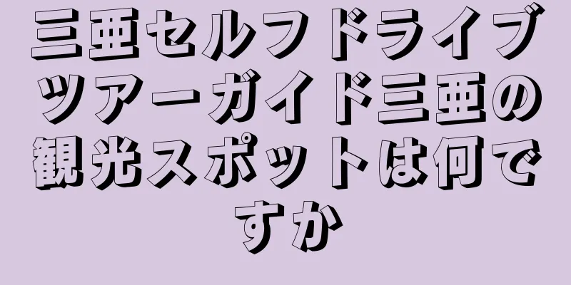 三亜セルフドライブツアーガイド三亜の観光スポットは何ですか