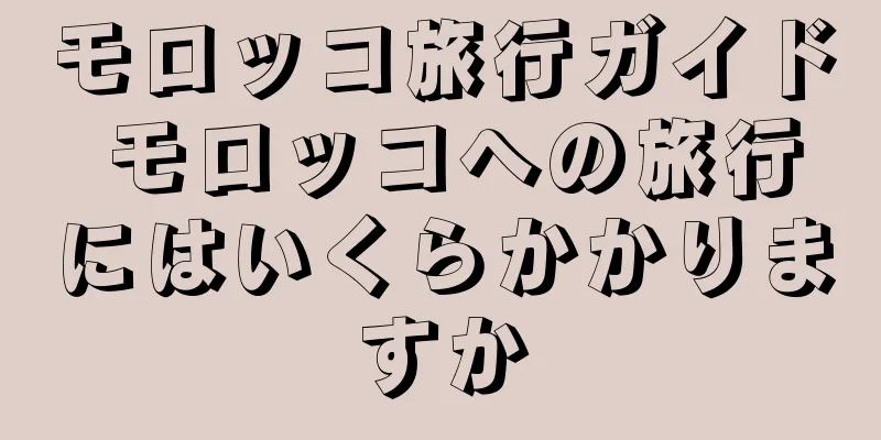 モロッコ旅行ガイド モロッコへの旅行にはいくらかかりますか