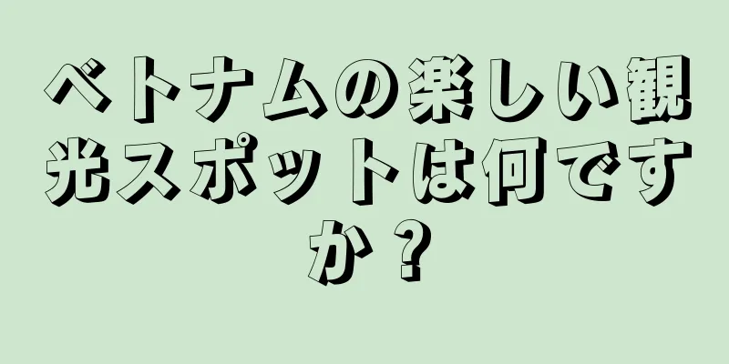 ベトナムの楽しい観光スポットは何ですか？