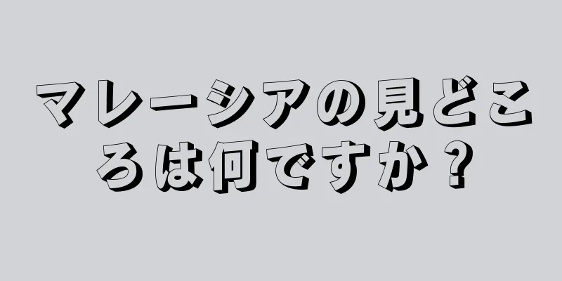 マレーシアの見どころは何ですか？