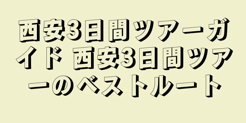 西安3日間ツアーガイド 西安3日間ツアーのベストルート