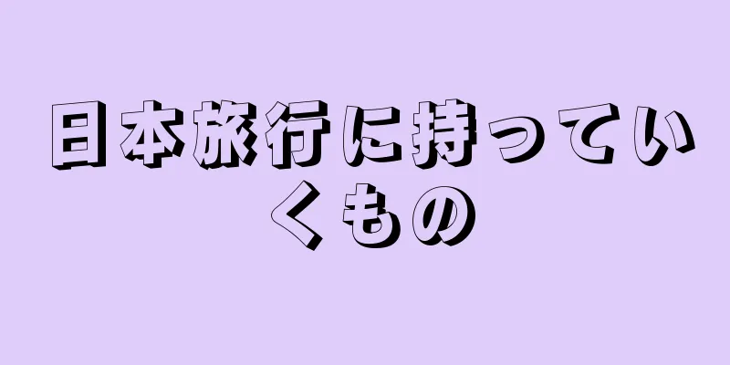 日本旅行に持っていくもの