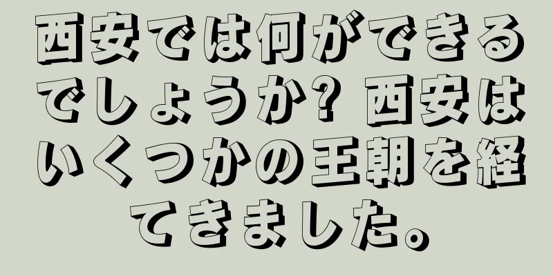 西安では何ができるでしょうか? 西安はいくつかの王朝を経てきました。