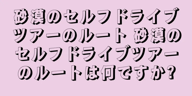 砂漠のセルフドライブツアーのルート 砂漠のセルフドライブツアーのルートは何ですか?