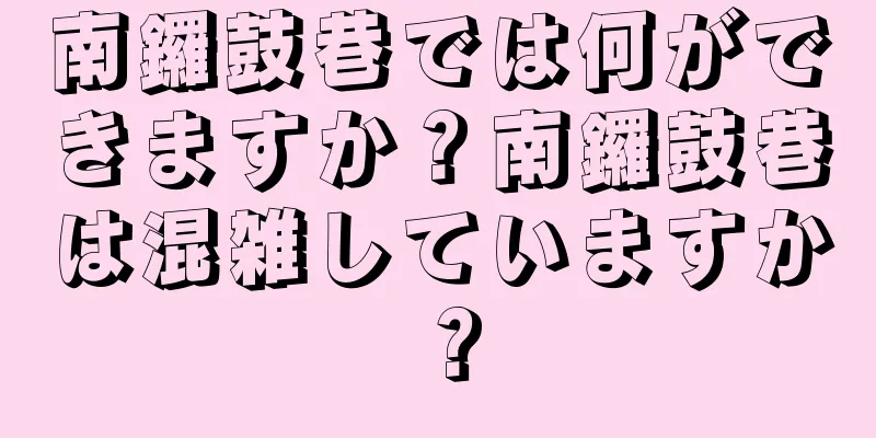 南鑼鼓巷では何ができますか？南鑼鼓巷は混雑していますか？