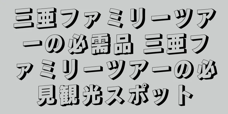 三亜ファミリーツアーの必需品 三亜ファミリーツアーの必見観光スポット