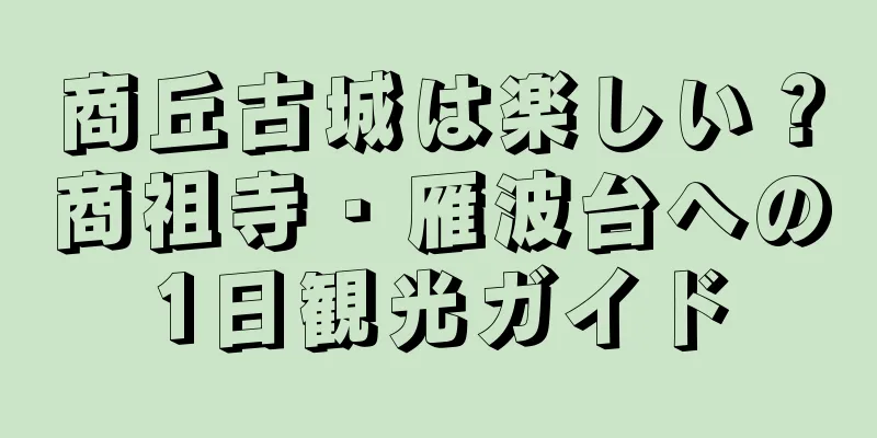 商丘古城は楽しい？商祖寺・雁波台への1日観光ガイド