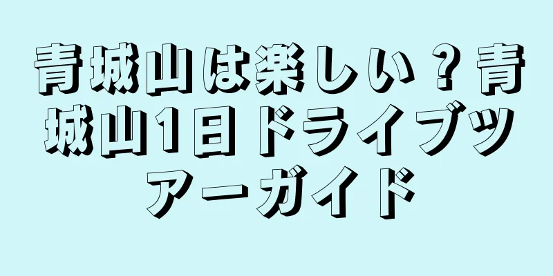 青城山は楽しい？青城山1日ドライブツアーガイド