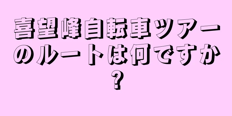 喜望峰自転車ツアーのルートは何ですか?