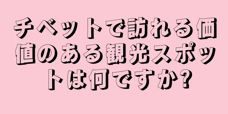 チベットで訪れる価値のある観光スポットは何ですか?