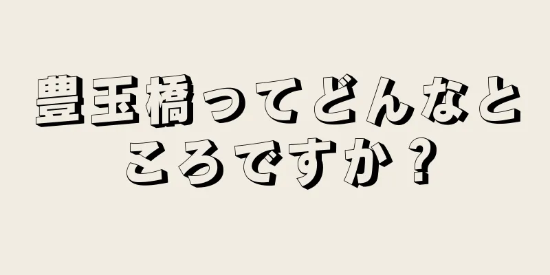 豊玉橋ってどんなところですか？