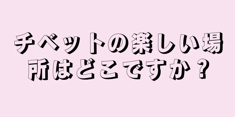 チベットの楽しい場所はどこですか？