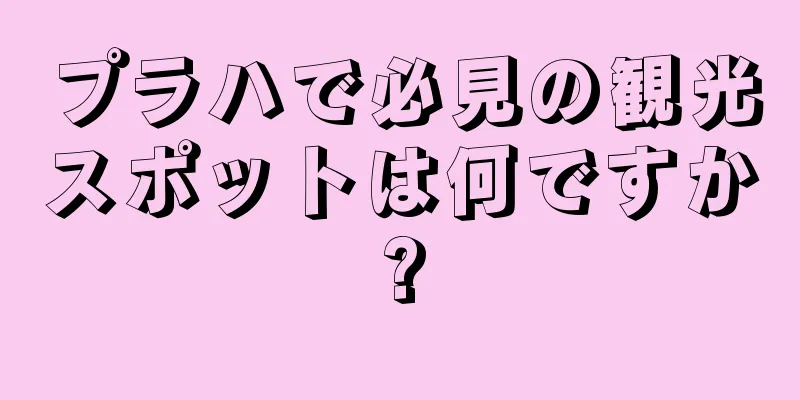 プラハで必見の観光スポットは何ですか?