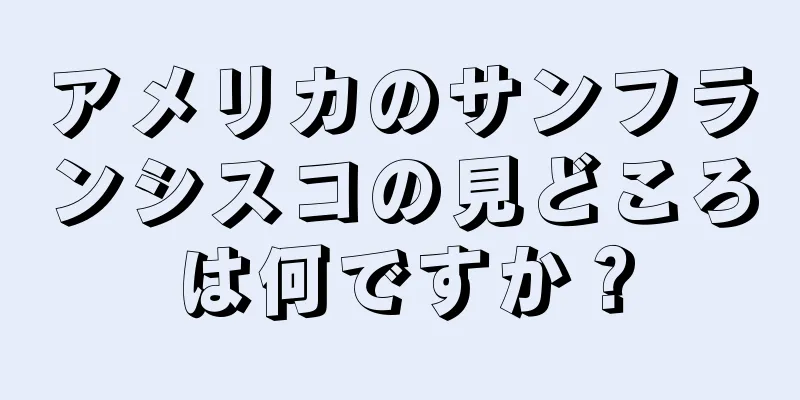 アメリカのサンフランシスコの見どころは何ですか？