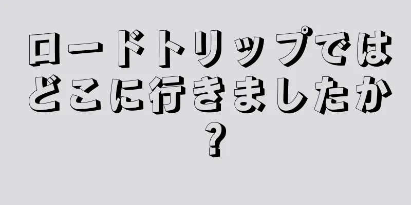 ロードトリップではどこに行きましたか？