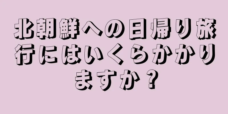 北朝鮮への日帰り旅行にはいくらかかりますか？