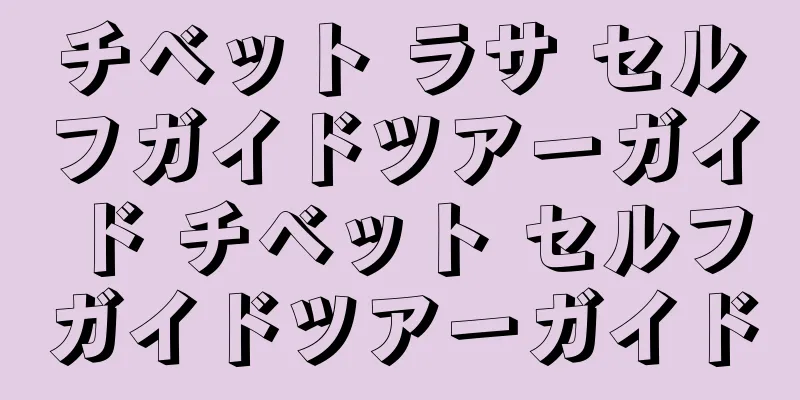 チベット ラサ セルフガイドツアーガイド チベット セルフガイドツアーガイド