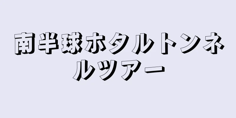 南半球ホタルトンネルツアー