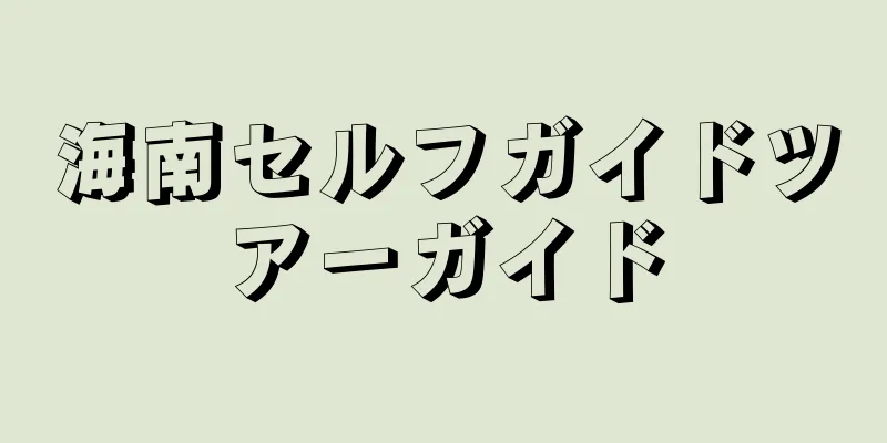 海南セルフガイドツアーガイド